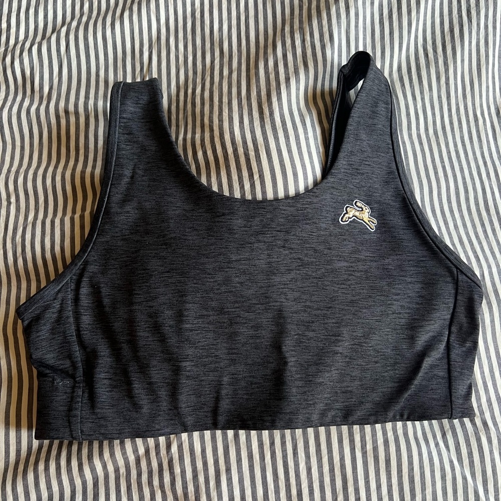 Tracksmith Women’s Session Bra in charcoal gray (medium)